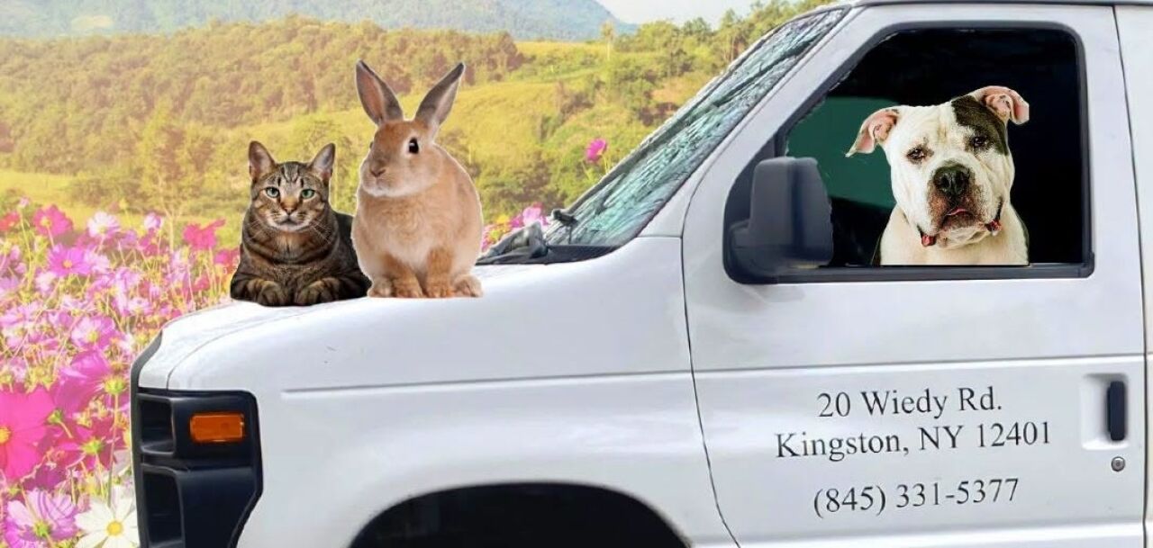 UCSPCA Fill the Van Drive